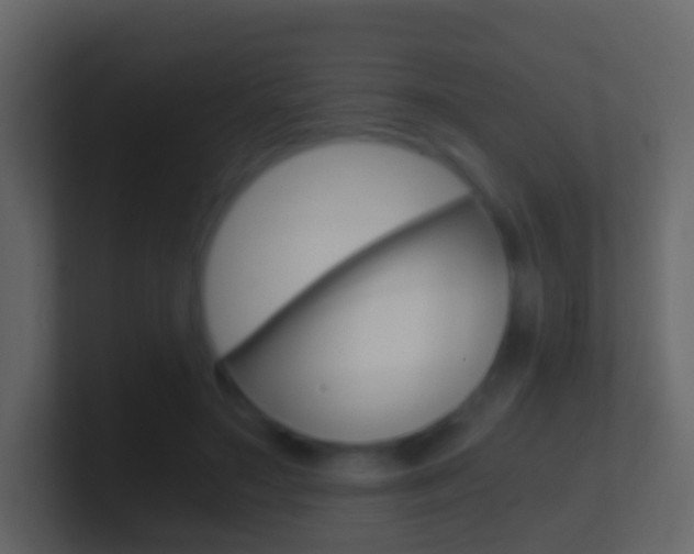 X0000101430499200807071008
