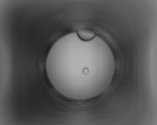 X0000101430503200807071008