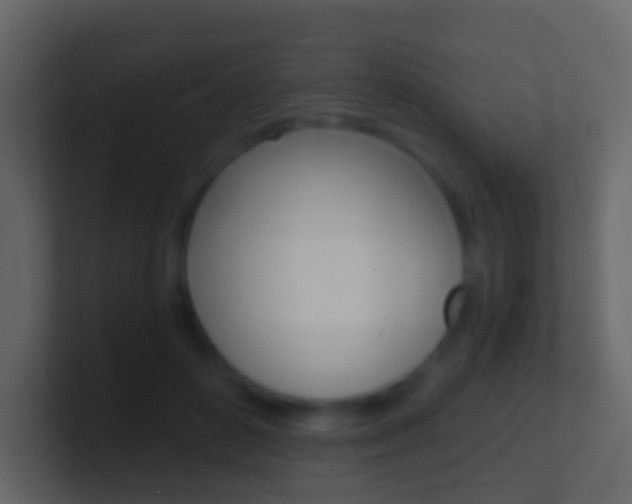 X0000101430504200807071008