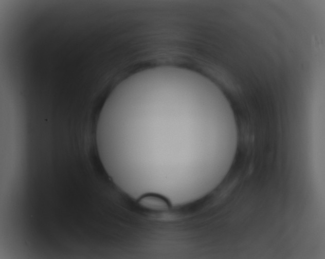 X0000101430506200807071008