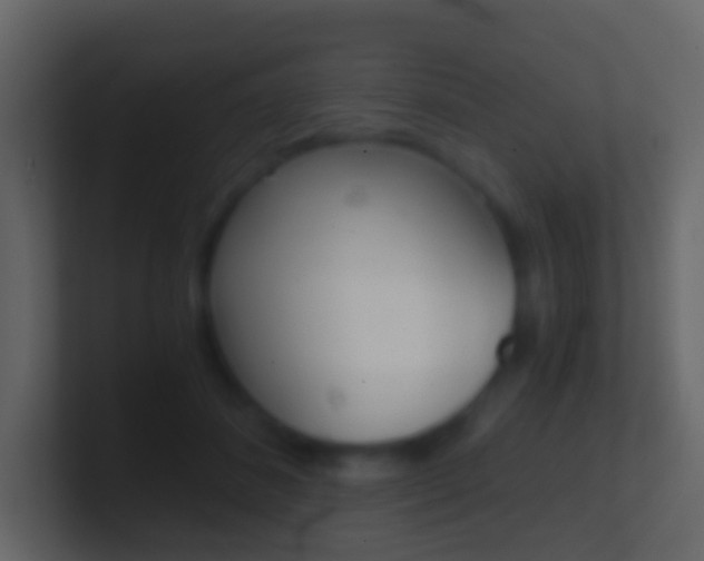 X0000101430508200807071008
