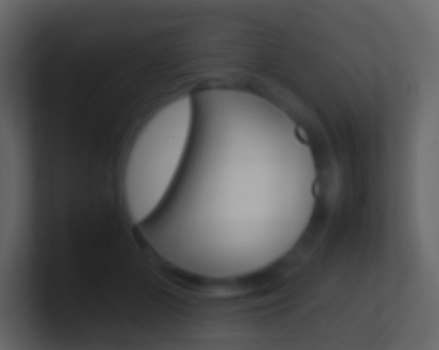 X0000101430510200807071008