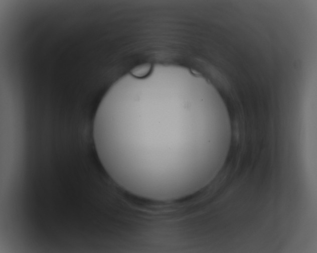 X0000101430514200807071008
