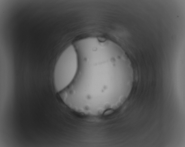 X0000101430519200807071008