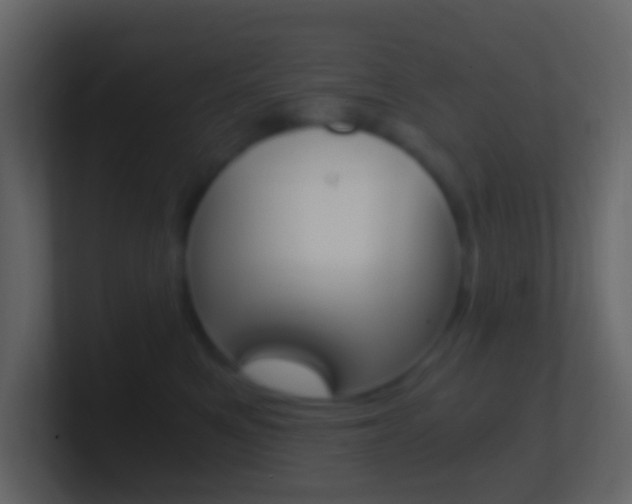 X0000101430521200807071008
