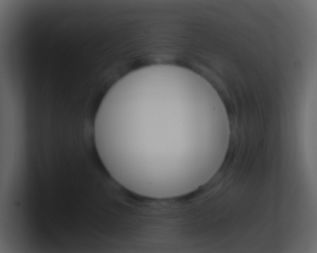 X0000101430523200807071008