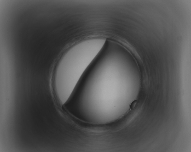 X0000101430530200807071007