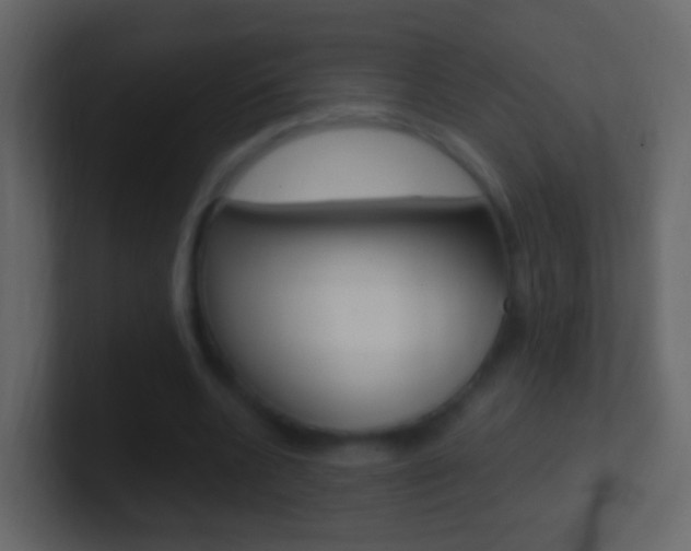 X0000101430536200807071007