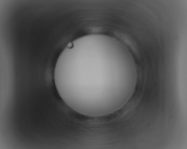 X0000101430545200807071007