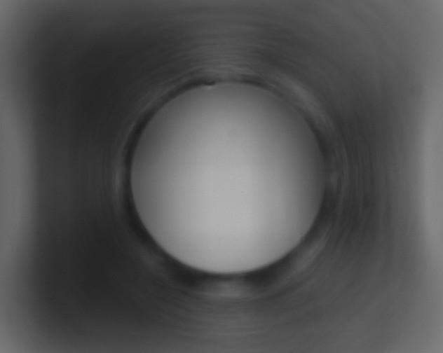 X0000101430548200807071007