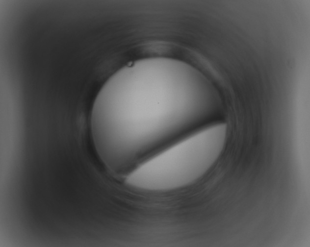 X0000101430551200807071008
