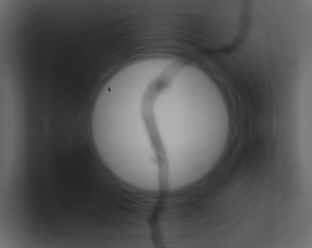 X0000101430556200807071008