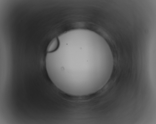 X0000101430561200807071008
