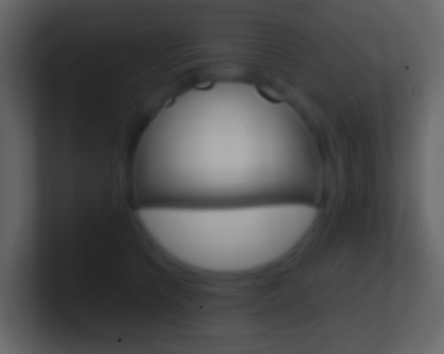 X0000101430564200807071008
