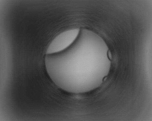 X0000101430565200807071008