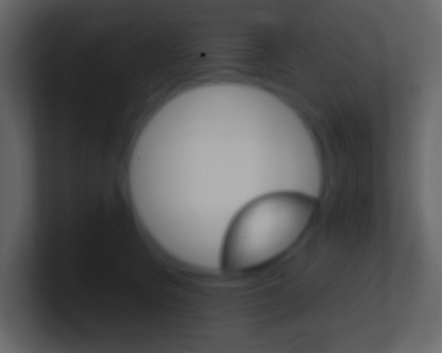 X0000101430566200807071008