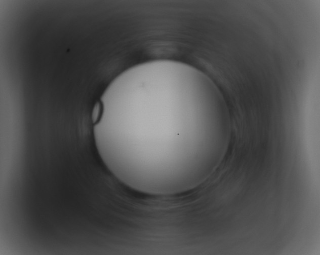 X0000101430567200807071008
