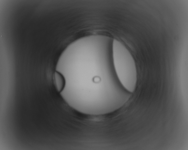 X0000101430569200807071008