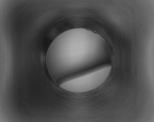 X0000101430574200807071008