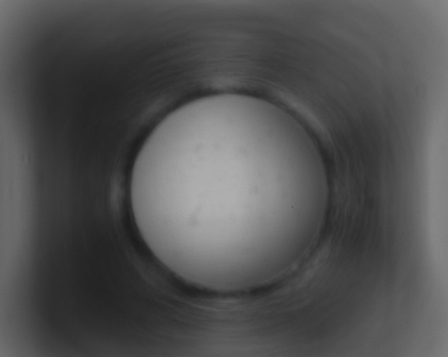X0000101430592200807071007