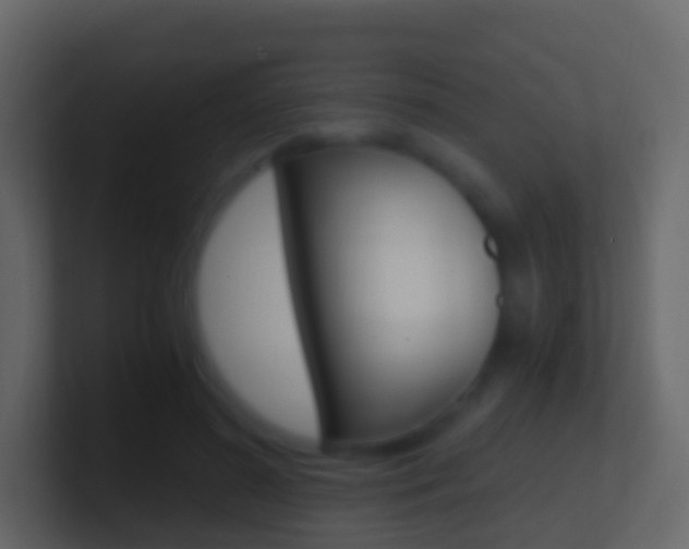X0000101430596200807071007