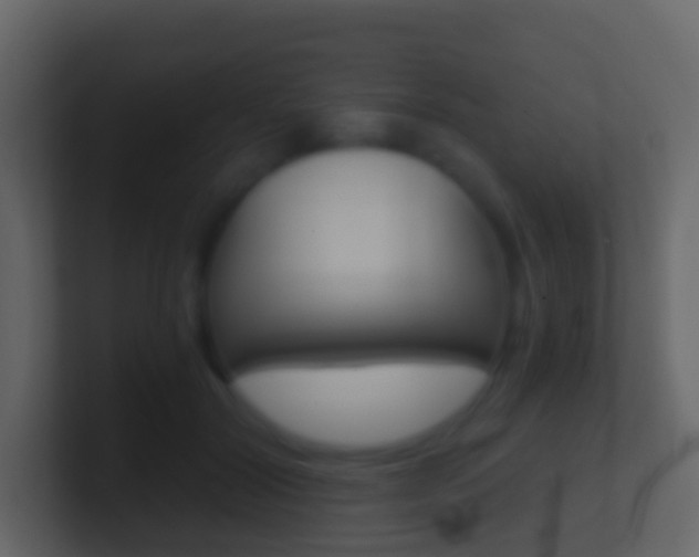 X0000101430604200807071007