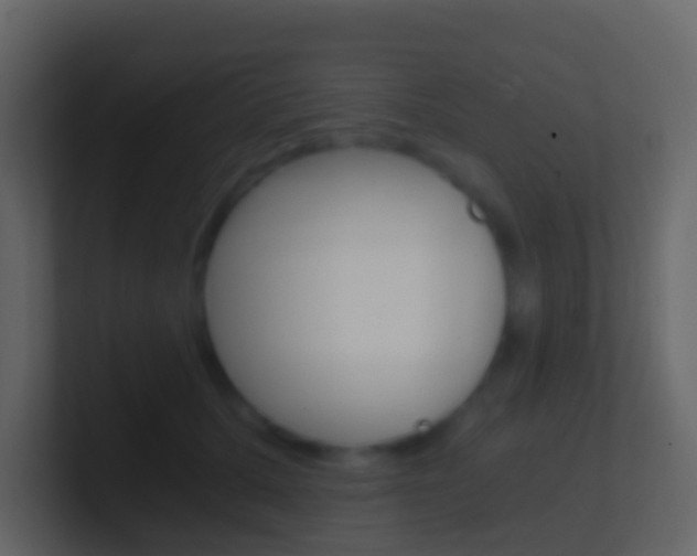 X0000101430607200807071007