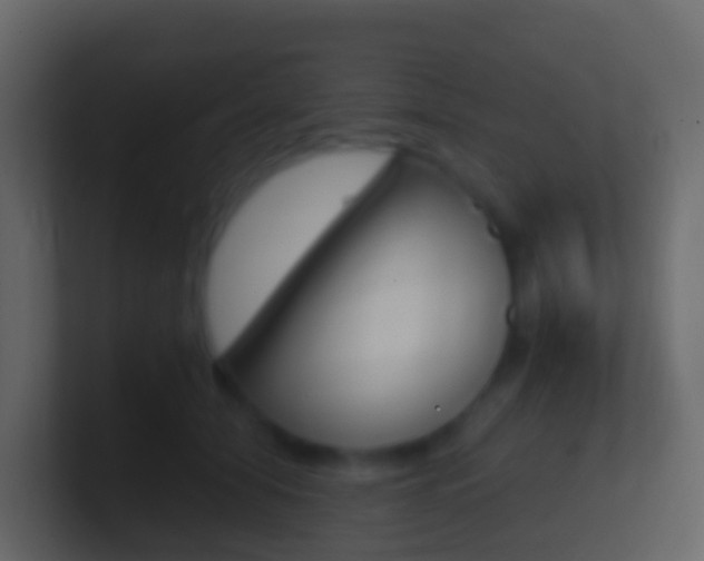 X0000101430608200807071007