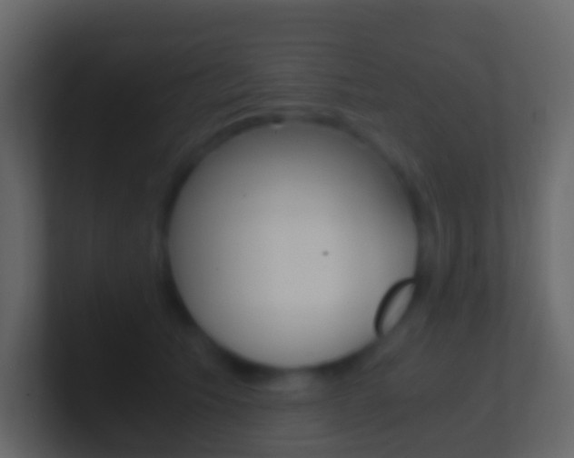 X0000101430609200807071007