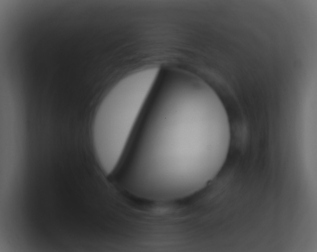 X0000101430612200807071007