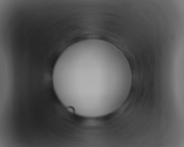 X0000101430614200807071007