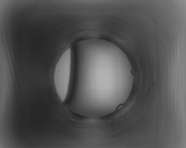 X0000101430624200807071007