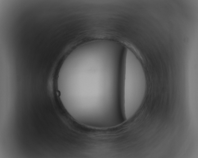 X0000101430626200807071006