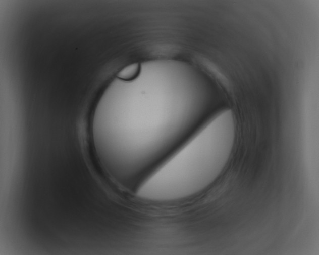X0000101430634200807071006