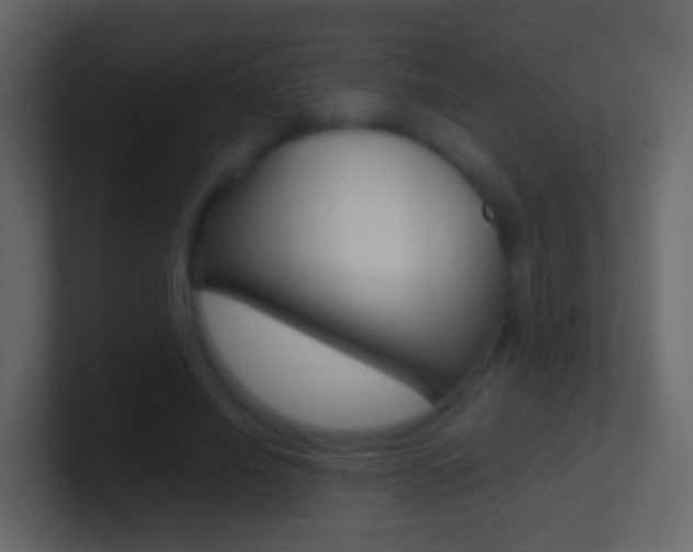 X0000101430638200807071006