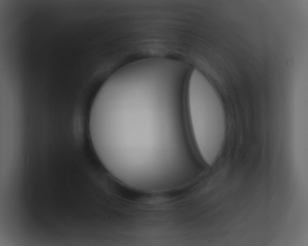 X0000101430639200807071006
