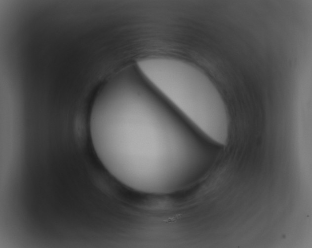 X0000101430642200807071006