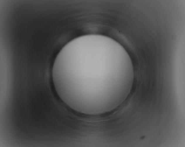 X0000101430645200807071006