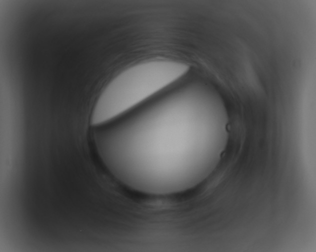 X0000101430655200807071006