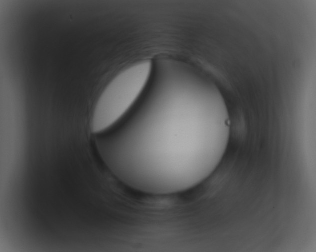 X0000101430661200807071006