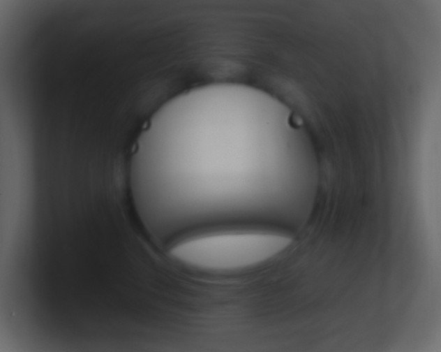 X0000101430664200807071006
