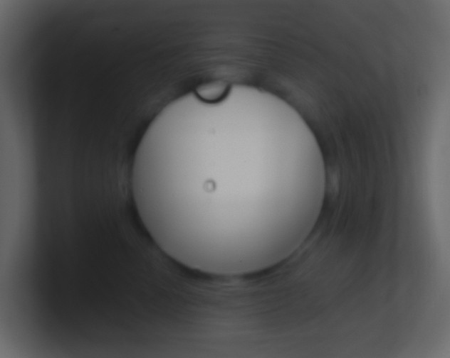 X0000101430666200807071006