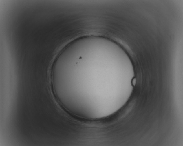 X0000101430673200807071006