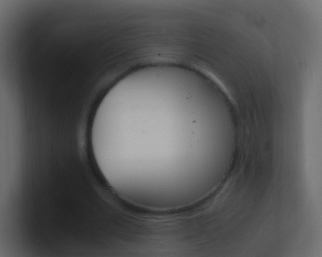 X0000101430677200807071006