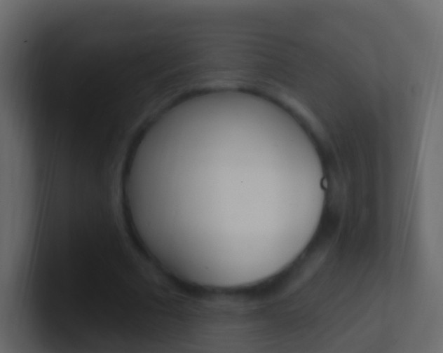 X0000101430681200807071006