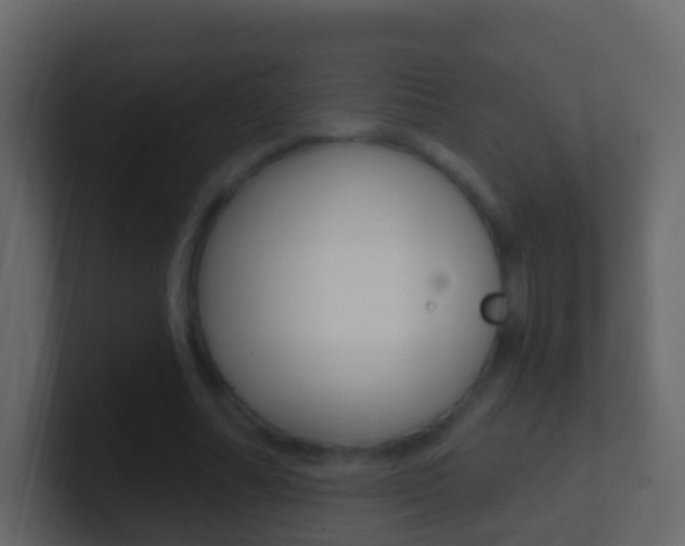 X0000101430682200807071006