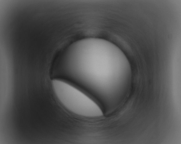 X0000101430689200807071006