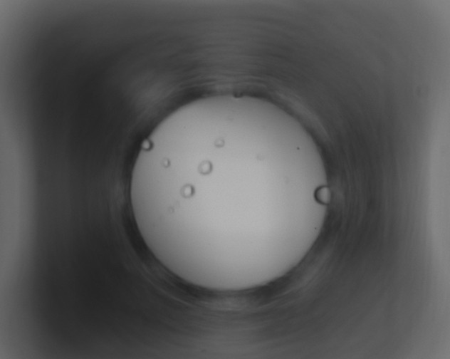 X0000101430691200807071006