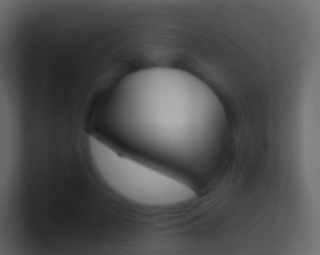 X0000101430693200807071006
