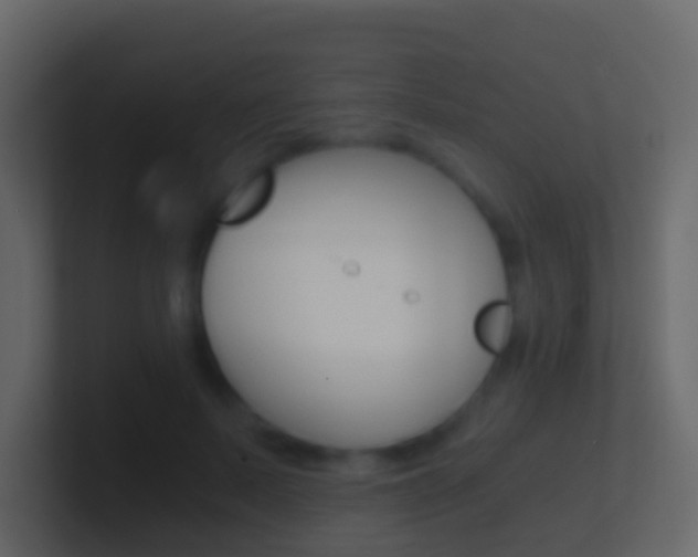 X0000101430695200807071006